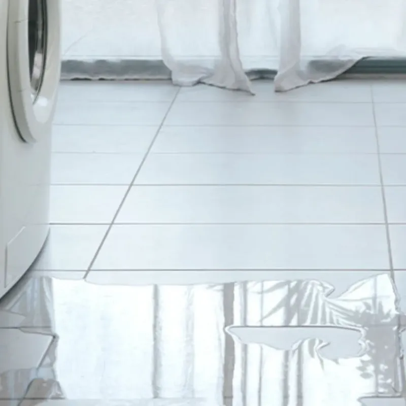 Appliance Leak Cleanup in Franklin, WV