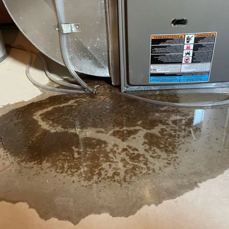 Pipe Burst and Leak Restoration in Franklin, WV